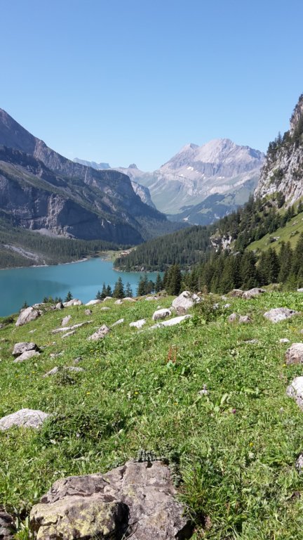schinensee16.jpg