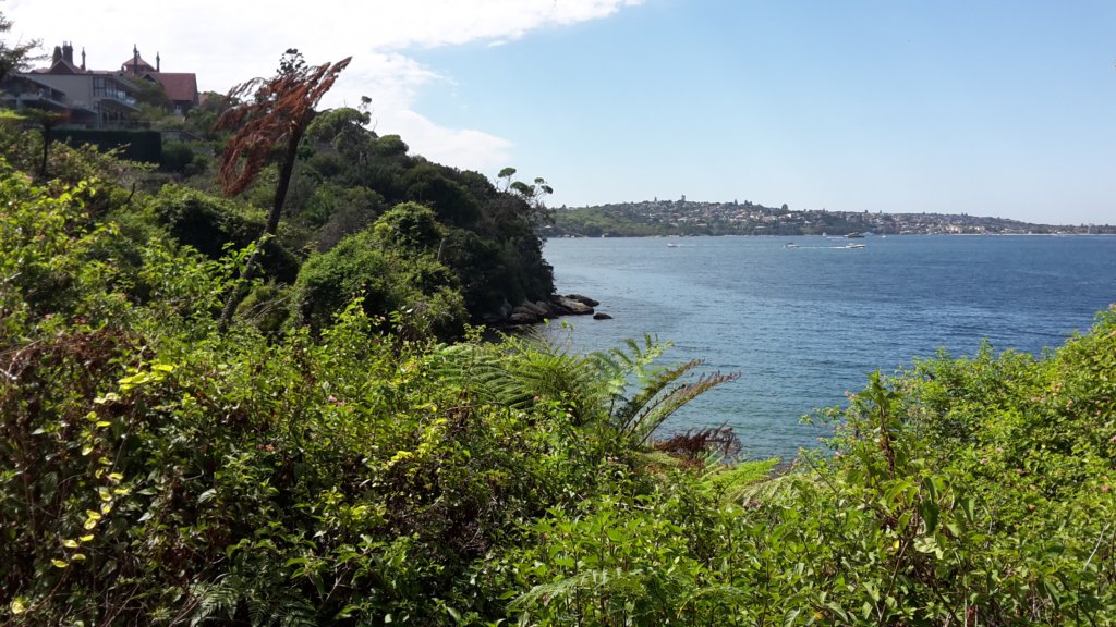 sydneyharbournp7.jpg
